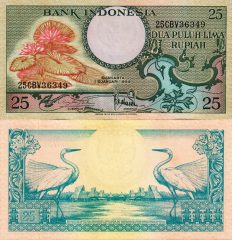 Indonesia25.1959x