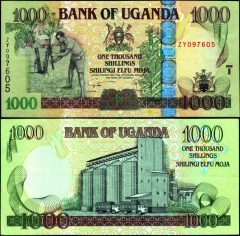 Uganda1000-2008-ZY09