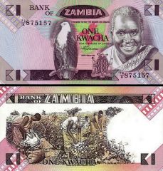zambia1-1988x